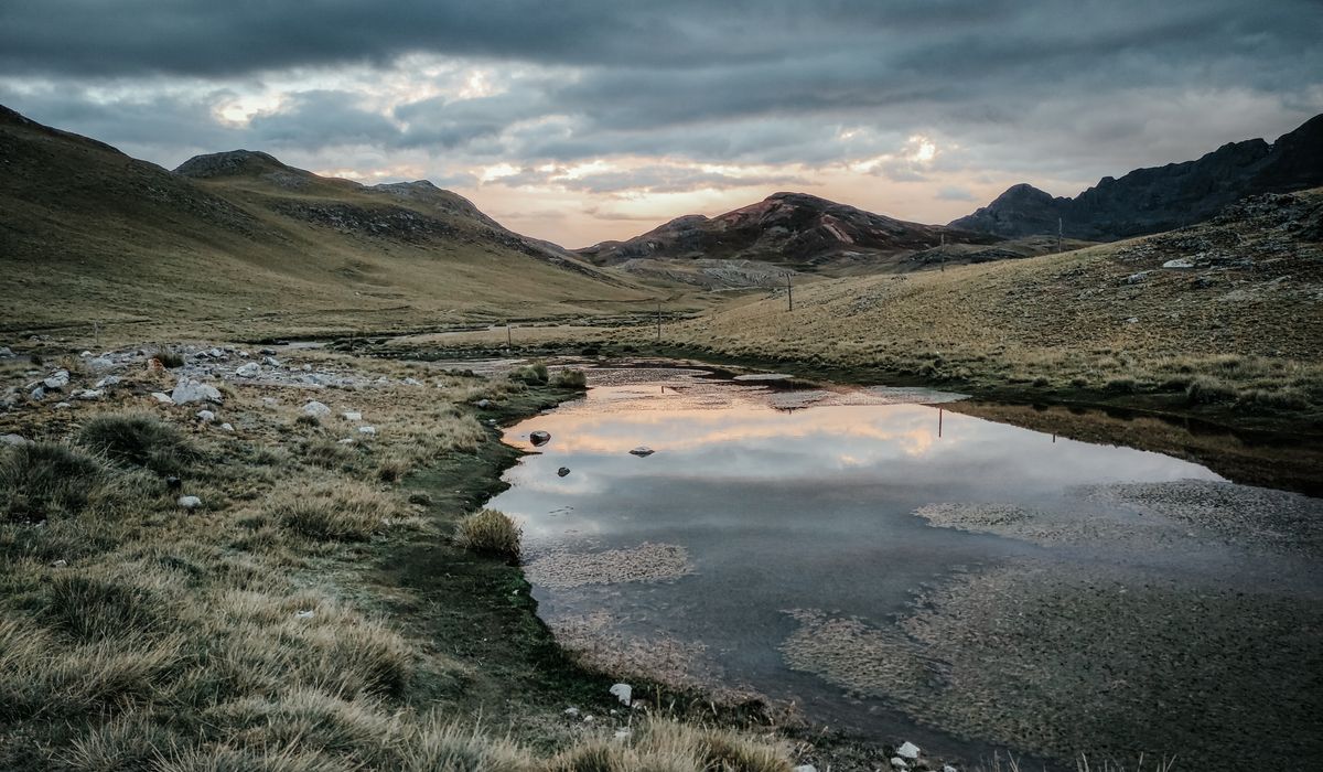 Hazeltarn