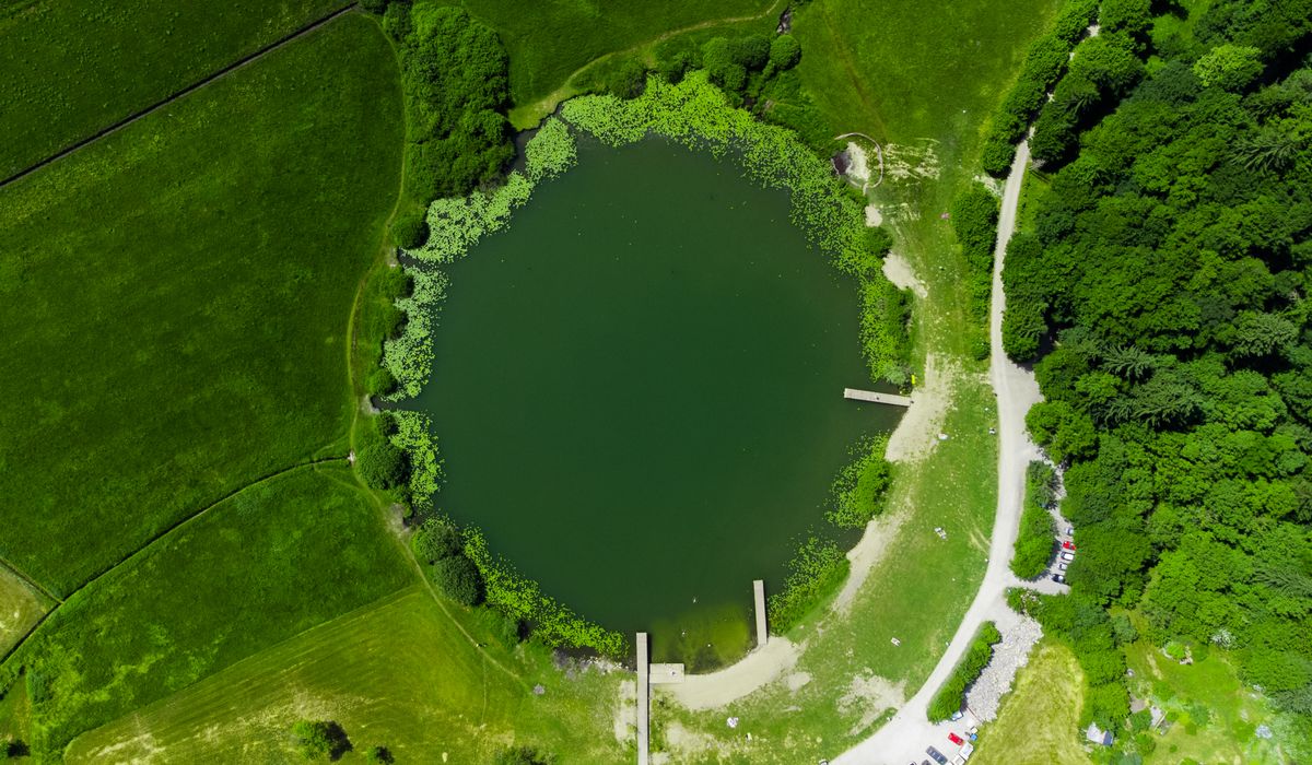 Hazeltarn
