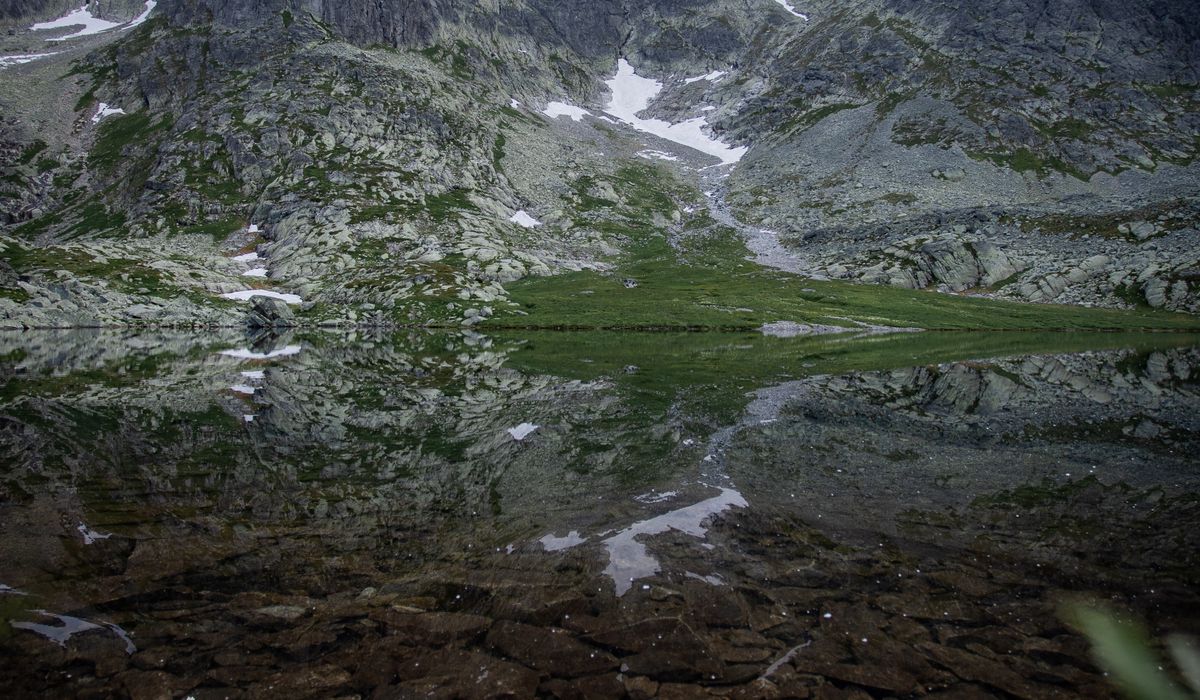 Hazeltarn