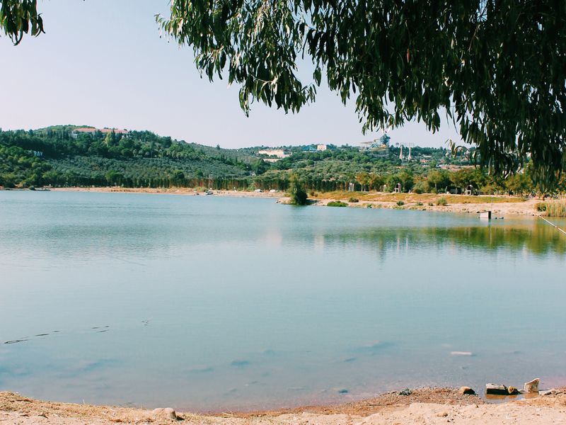 Hazeltarn