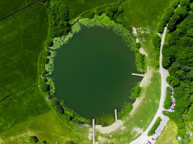 Hazeltarn