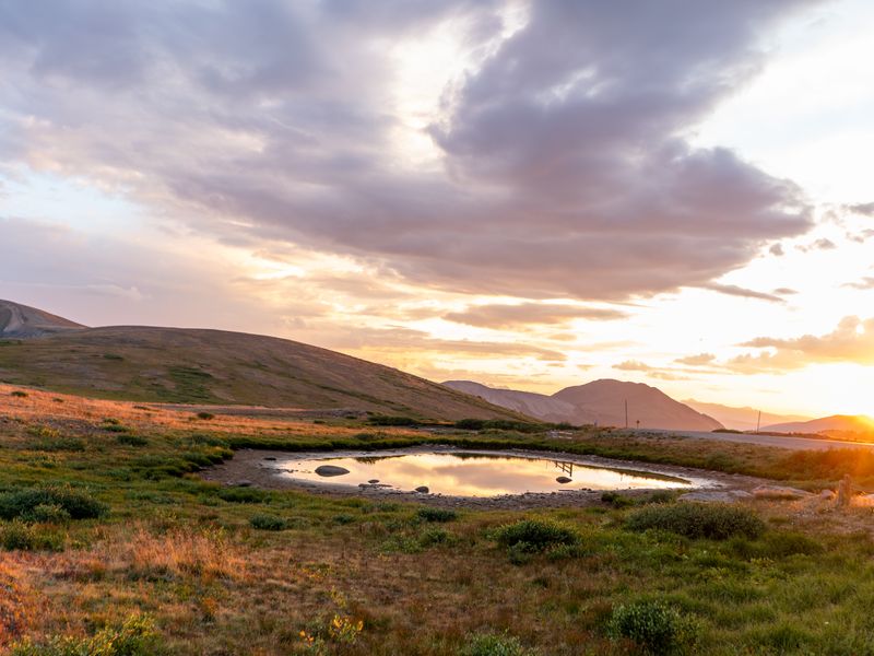 Hazeltarn
